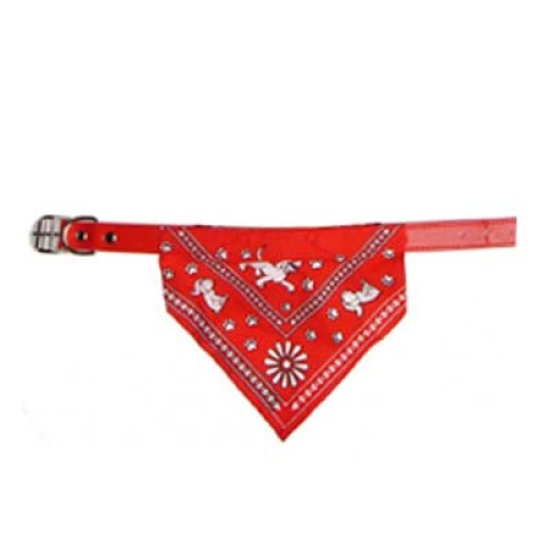 Dog Collars